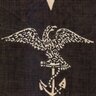 usnhm1625