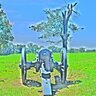TennesseeZ4