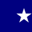 Bonny Blue Flag