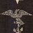 usnhm1625